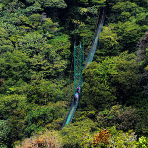 Monteverde