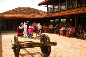 Bailes tipicos Bailes tipicos