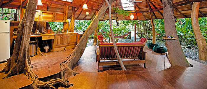 tree house costa rica