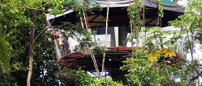 tree house costa rica
