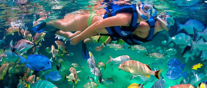 Plongée au Costa Rica, Guide des activités
