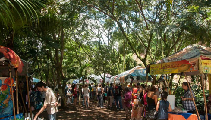 feria verde