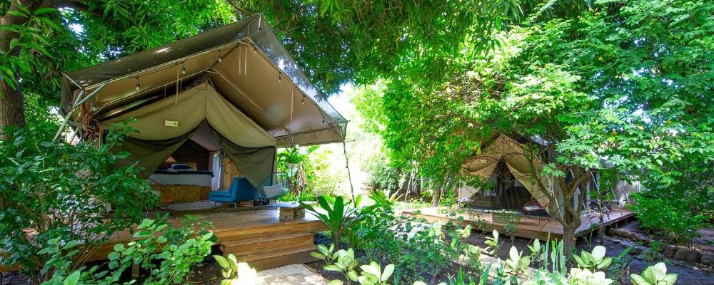 libelula lounge