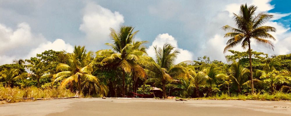 punta preciosa (1)