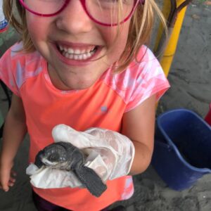 naissance tortues luth