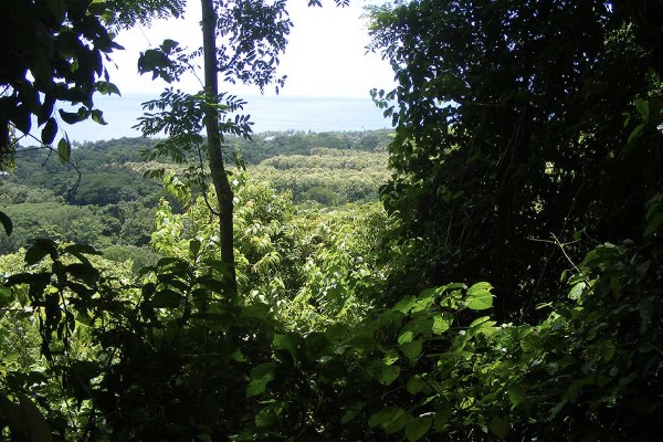 Hacienda Baru - activités - Costa Rica Hacienda Baru, Uvita, Costa Rica