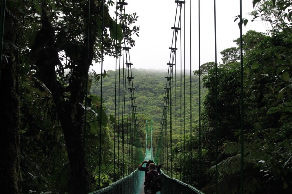 Ponts - Monteverde - activités - Costa Rica Ponts - Monteverde - Costa Rica