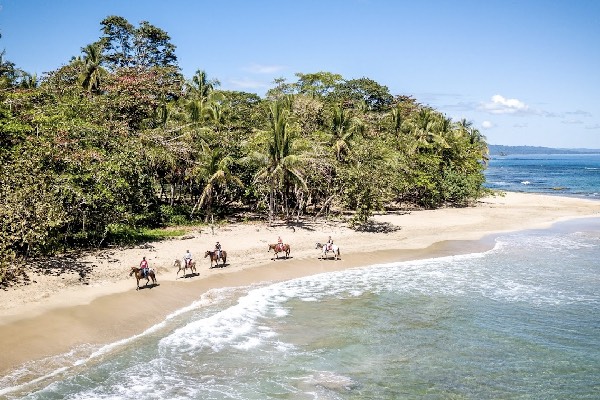 balade cheval - caraïbes - activités - Costa Rica balade cheval - puerto viejo - Costa Rica