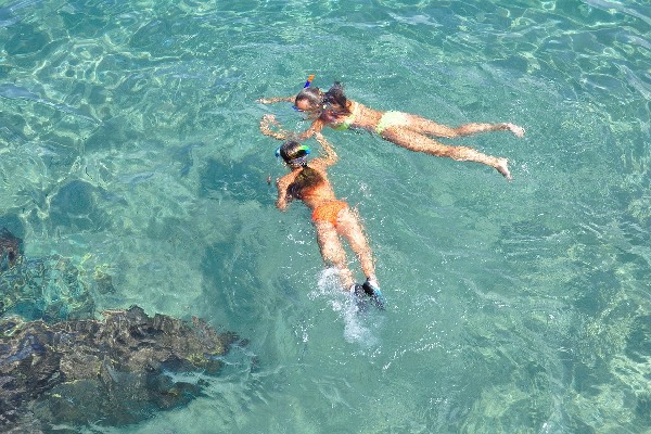 Snorkeling - Caraïbes Snorkeling - Caraïbes
