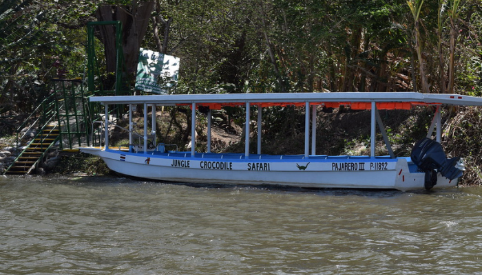 Excursion en bateau sur le Rio Tarcoles