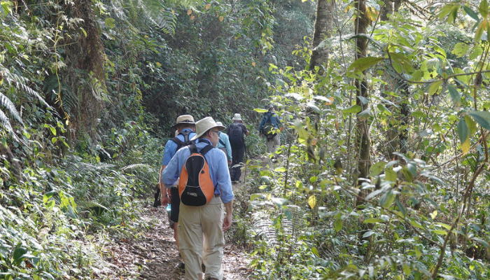 Parc national Los Quetzales - San Gerardo de Dota