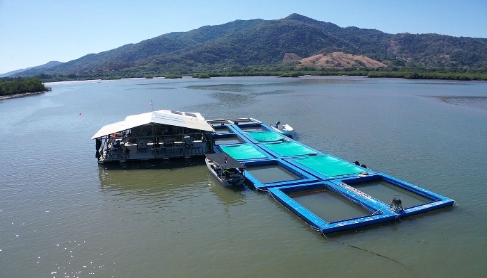 Golfe de Nicoya restaurants flottants