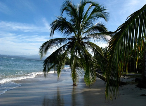 cahuita redim - Arawak Experience