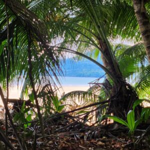 photo couple Hérault