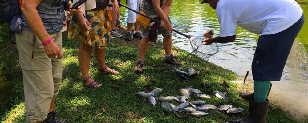 Finca Sura - Sarapiqui tourisme solidaire à Finca Sura, Sarapiquí - visite de la finca biologique