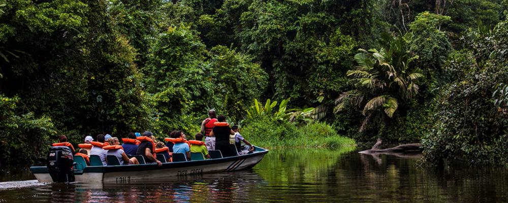 Canaux jungle expédition, Tortuguero Pirogue Tortuguero Costa Rica - canaux jungle expédition