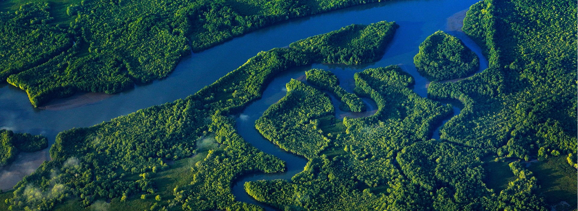Rivière bordée de forêt tropicale dans le parc national Corcovado, Costa Rica