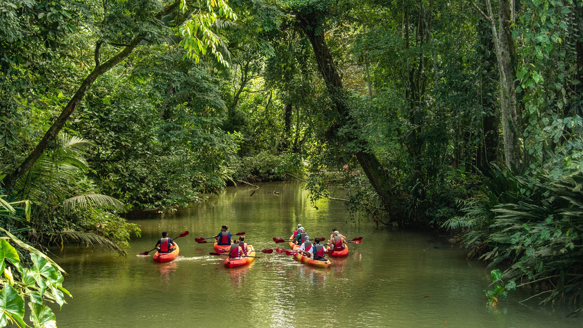 Kayak sur une rivière en forêt tropicale au Costa Rica